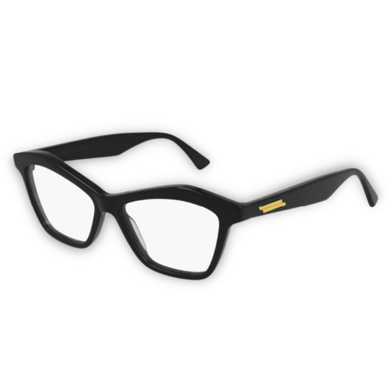 BOTTEGA VENETA BV10960 001